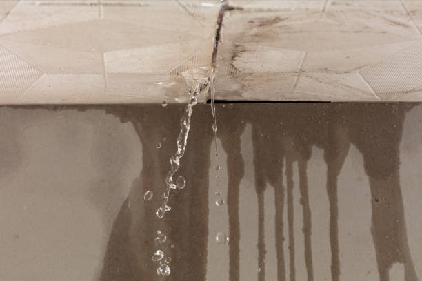 Professional Structural Drying technician working in Commack, NY